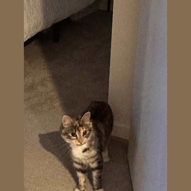 Photo of Jasmine