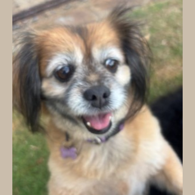 Photo of Sookie