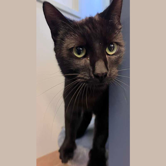Photo of Stewie