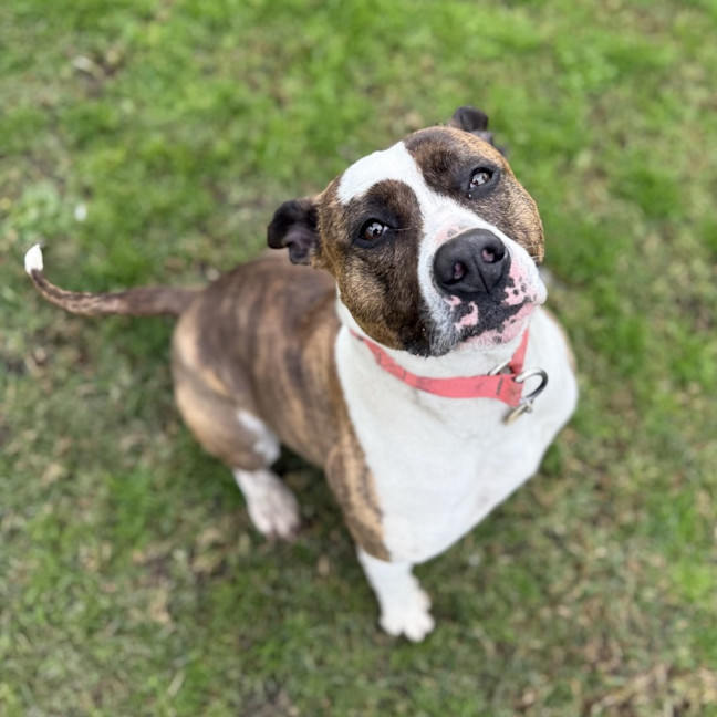 Photo of Betty