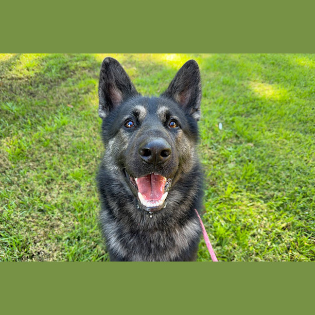 Photo of Poh
