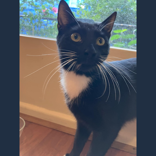 Photo of Coco And Mocha 