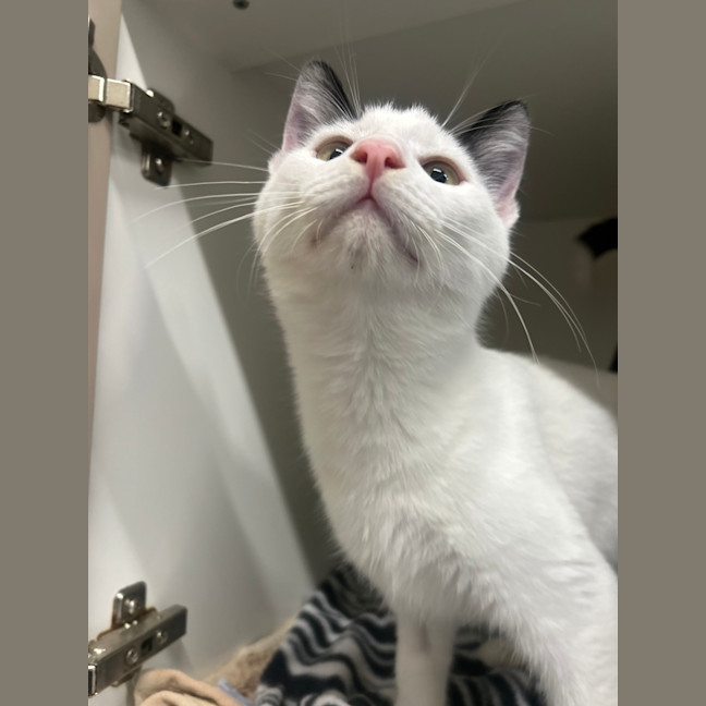 Photo of Wednesday