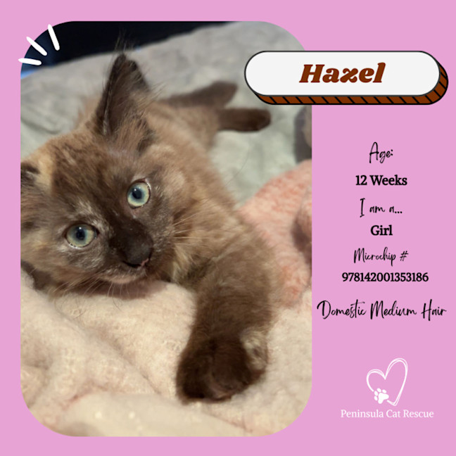 Photo of Hazel