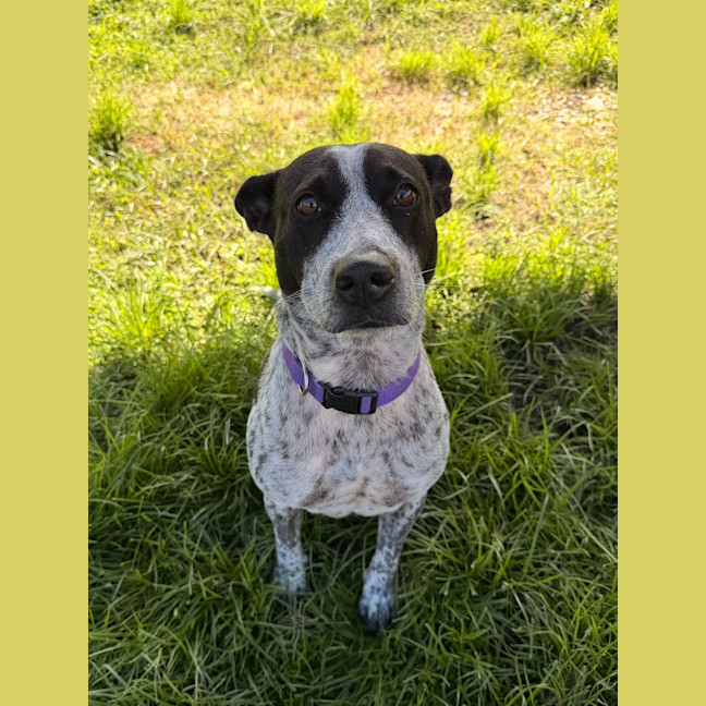 Photo of Bobbi