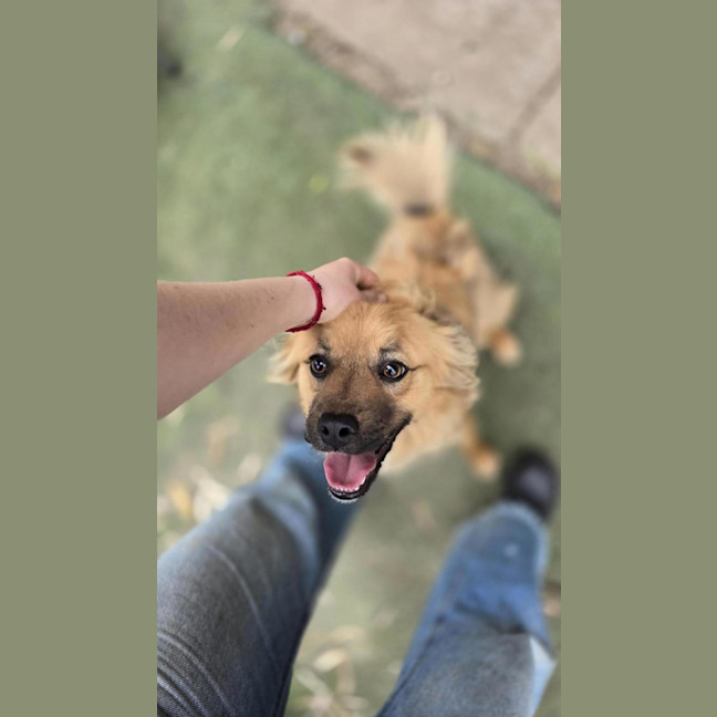 Photo of Ace