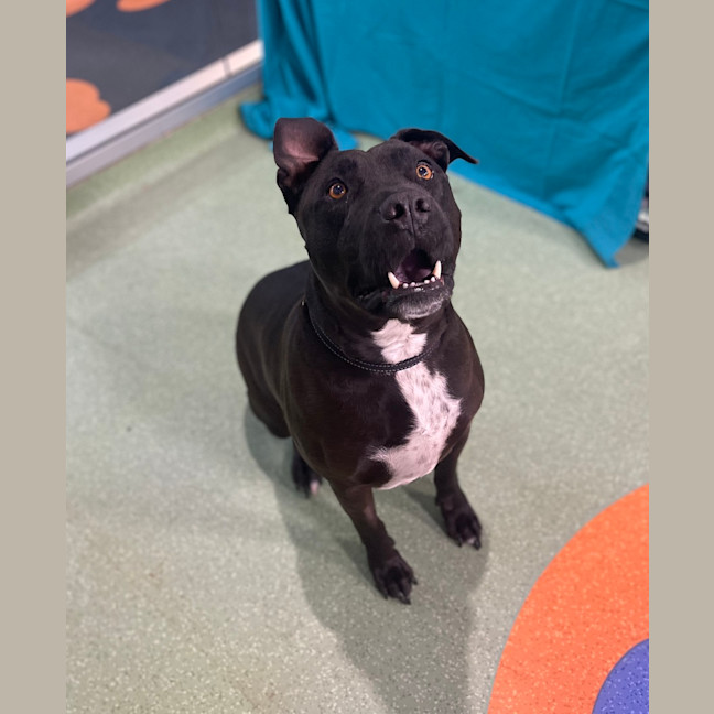 Photo of Tank