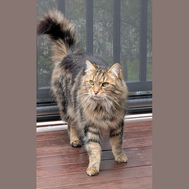 Photo of Jax