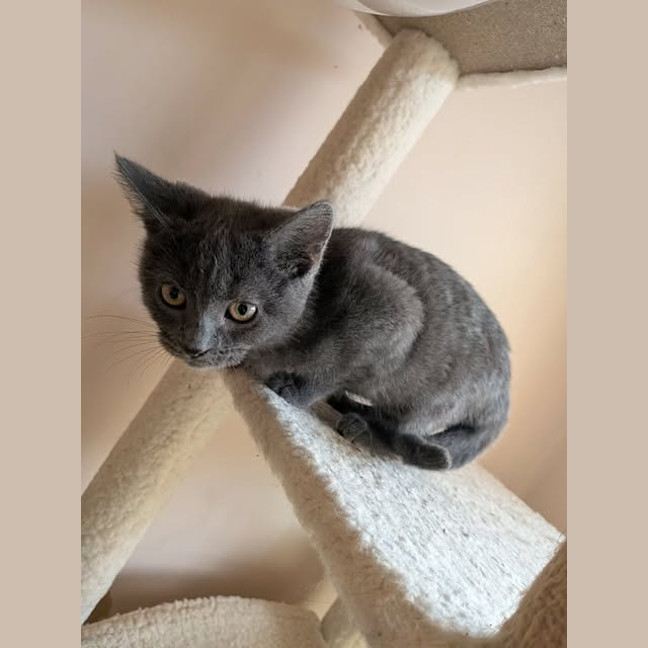 Photo of Greta