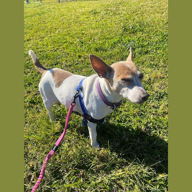 Photo of Jessie