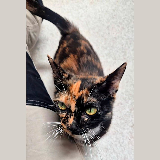 Photo of Faye (8925)