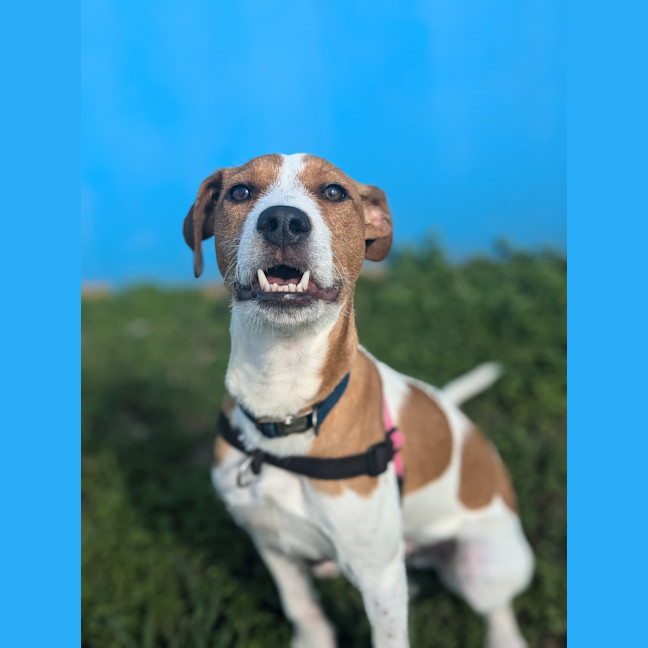 Photo of Mac 