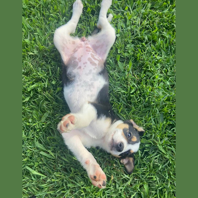 Photo of Frida
