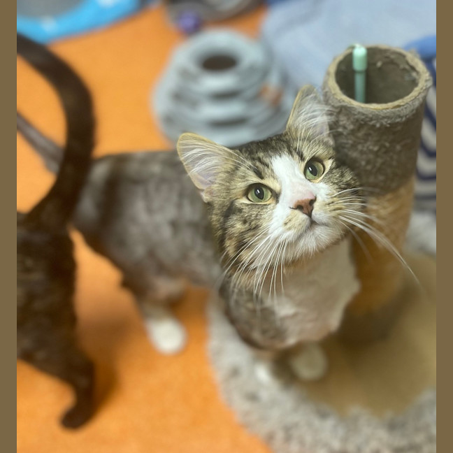 Photo of Marvin