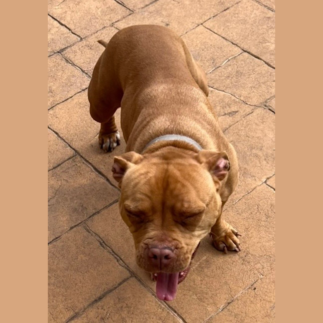 Photo of Ruby