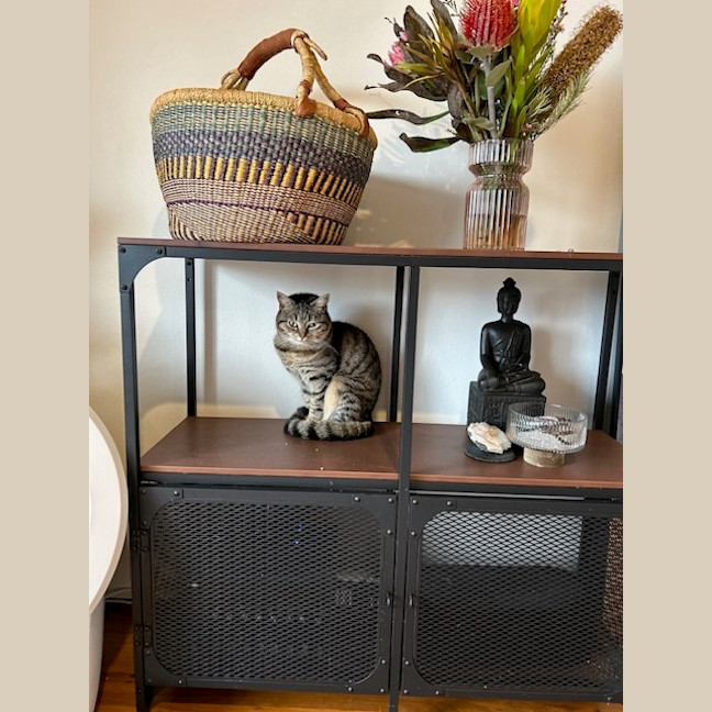 Photo of Charlie