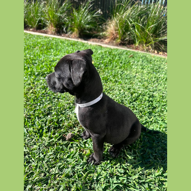 Photo of Ted