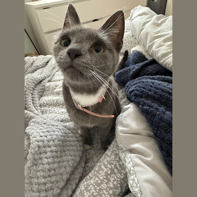 Photo of Gigi