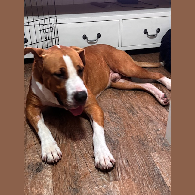 Photo of Boof ** A Divine Boy **