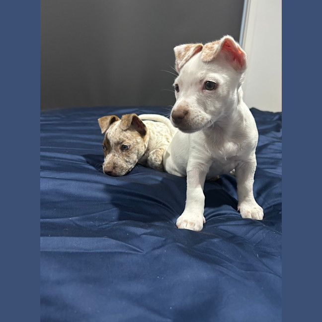 Photo of Gyn (Was Luna)