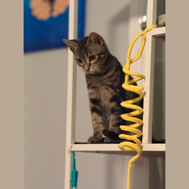 Photo of Sophie 