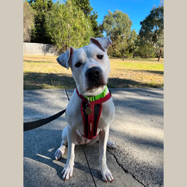 Photo of Lucy Goosey