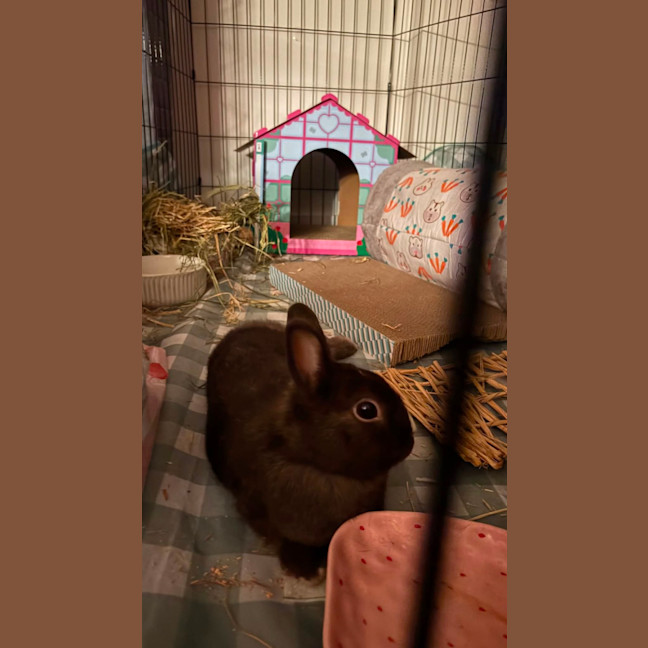 Photo of Colby