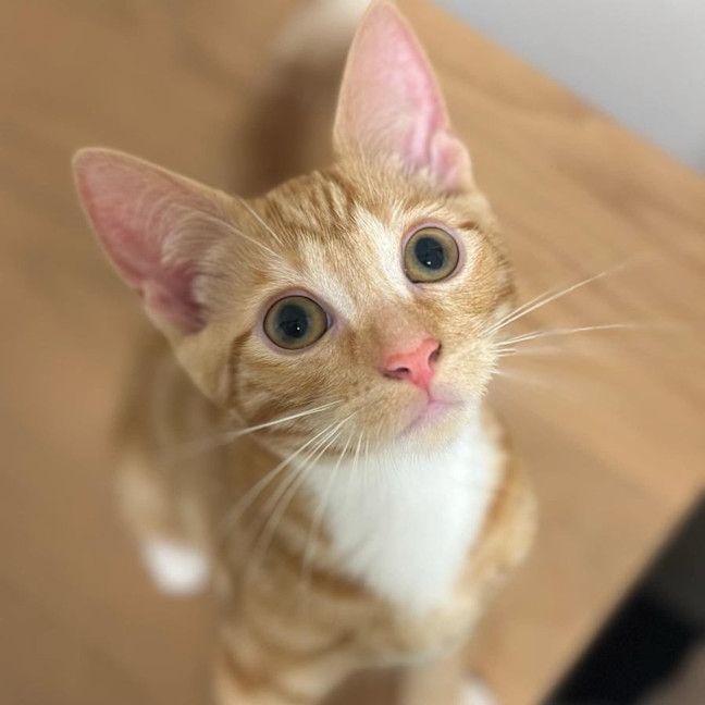 Photo of Mabel And Clifford