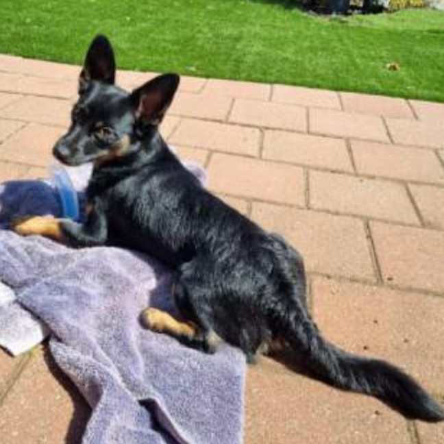 Photo of Henry! Loving, Happy Family Boy 