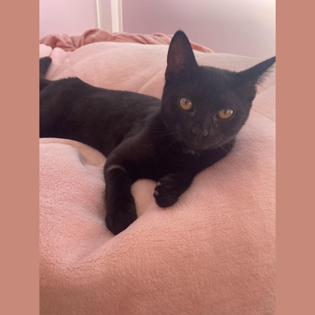 Photo of Daenerys