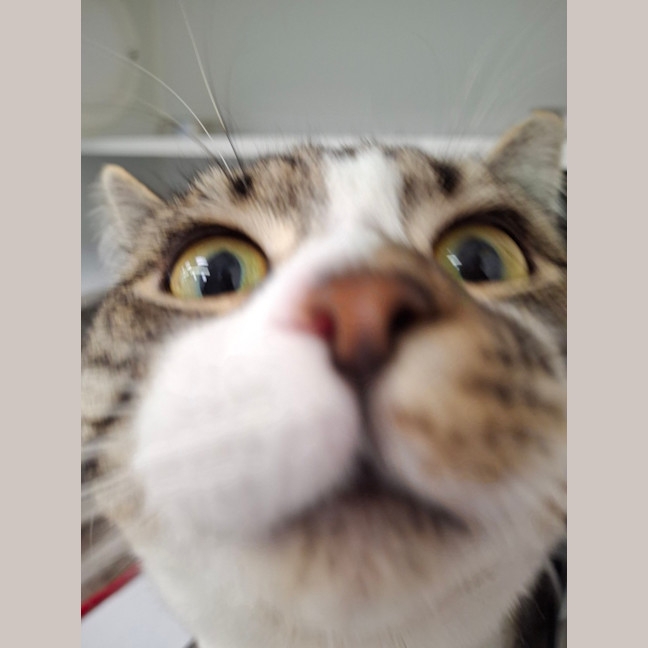 Photo of Puffy