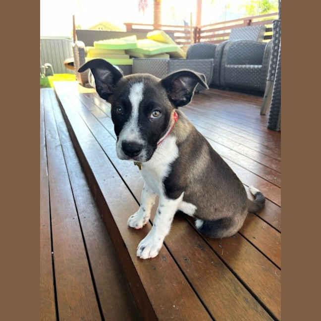 Photo of Cash