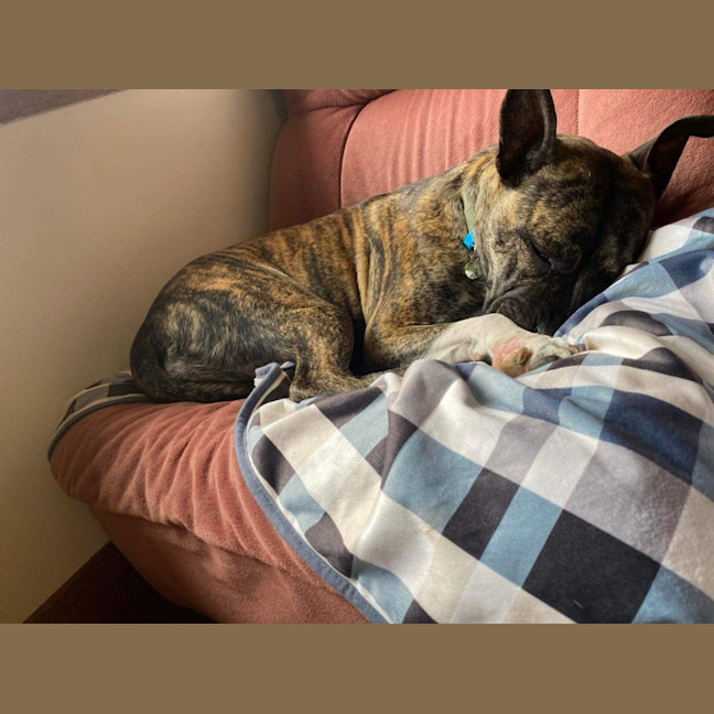 Photo of Lola