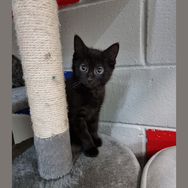 Photo of Percy