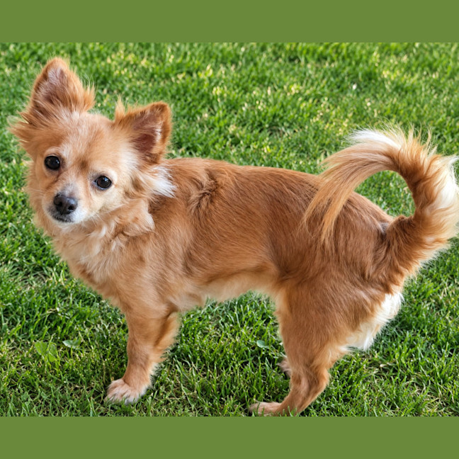 Photo of Holly 