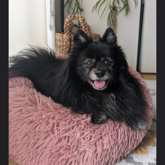 Photo of Patrick