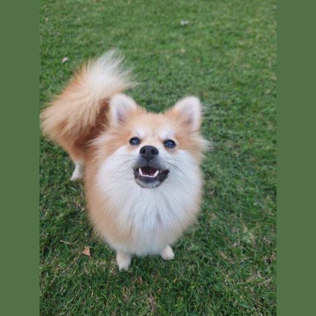 Photo of Beatrice Now Spice