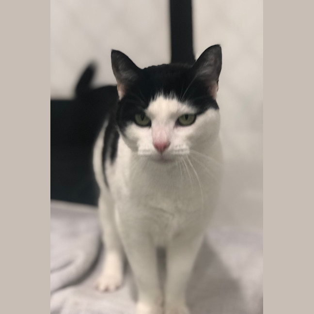 Photo of Alice