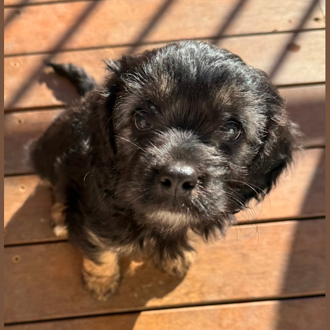 Photo of Zara