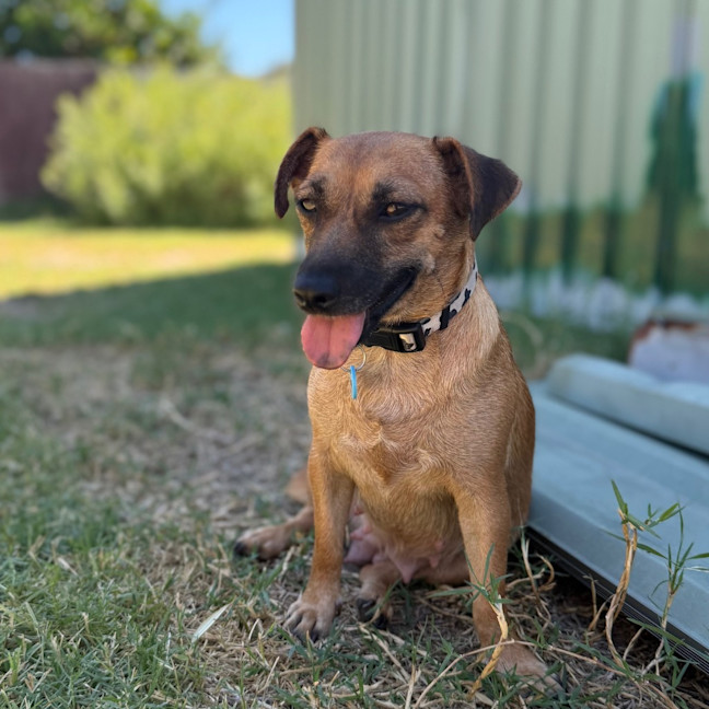 Photo of Maisey