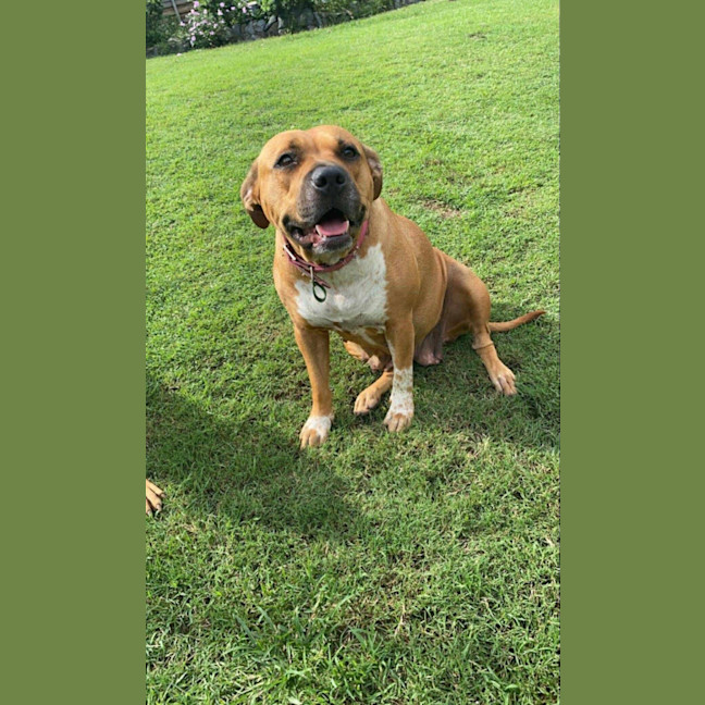 Photo of Ruby And Rusty