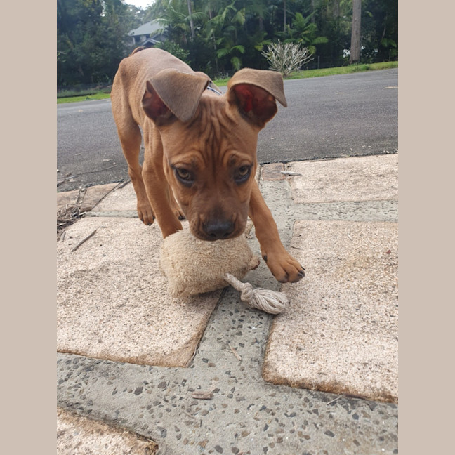 Photo of Vander