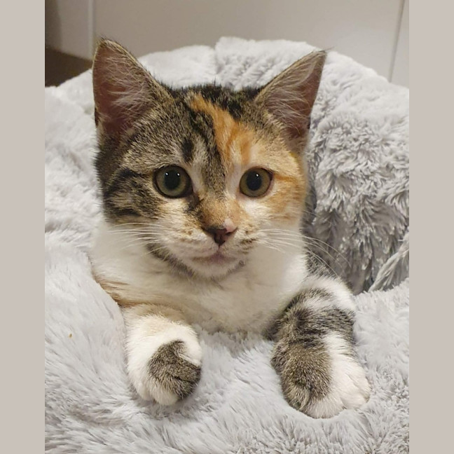 Photo of Nora