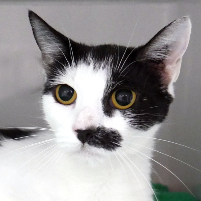 Photo of Layla Sta015087