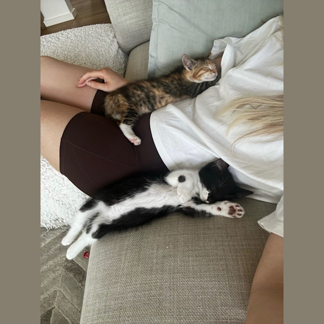 Photo of 🍫 Crunchie 🍫