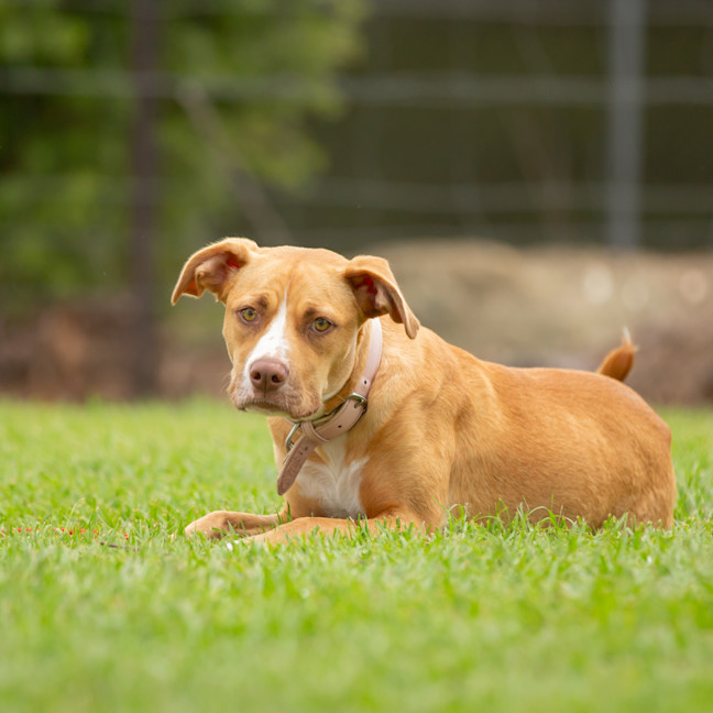 Photo of Cali
