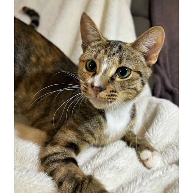 Photo of 11920   Noche