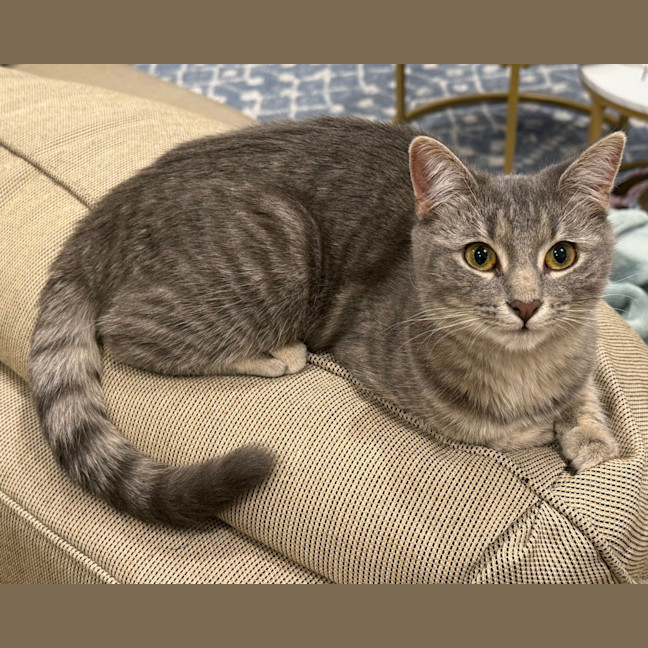 Photo of Roxy