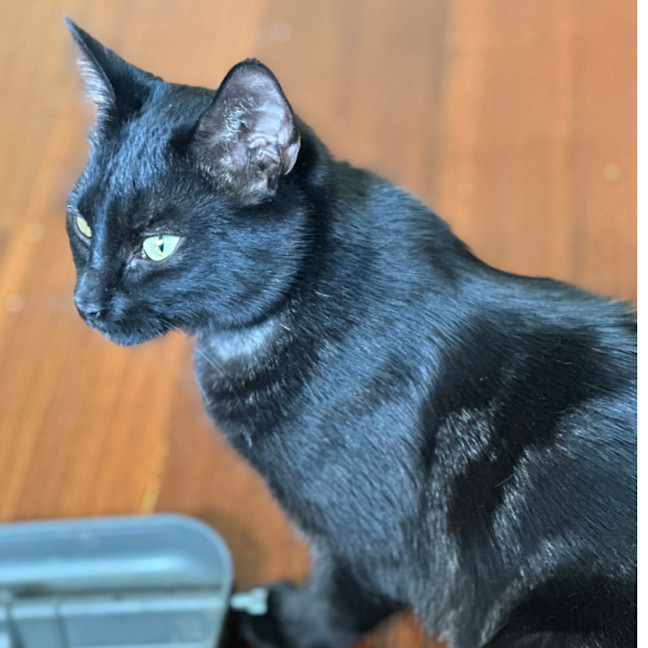 Photo of Riley