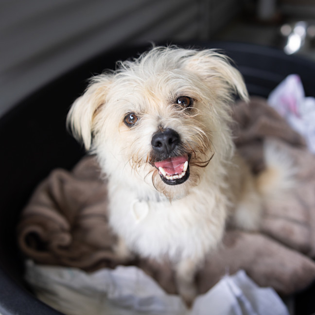 Photo of Ernie